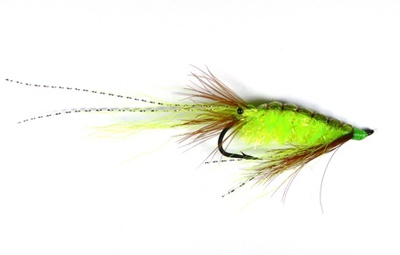 Veniard 55039   Turbo Translucent Chenille (,  1)