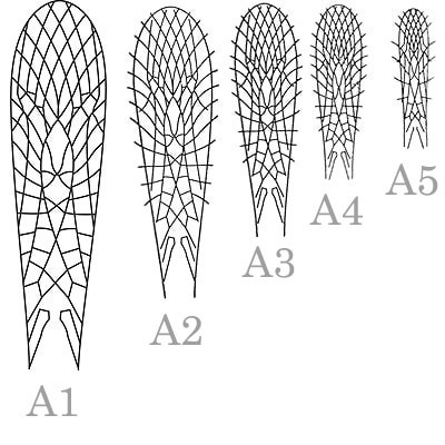 J:son&Co 58305     Realistic Wing Material for Stoneflies (,  7)