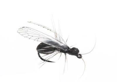 J:son&Co 58310     Realistic Wing Material For Caddis Pupa / Wasp / Ant / Hopper (,  3)