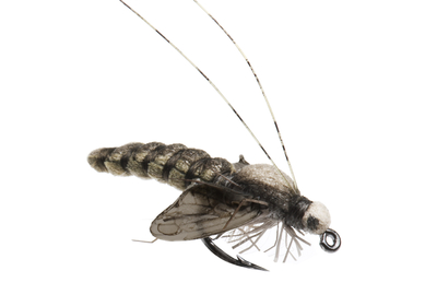 J:son&Co 58310     Realistic Wing Material For Caddis Pupa / Wasp / Ant / Hopper (,  4)