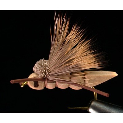 4Trouts 59511        Foam Flies Set (,  2)