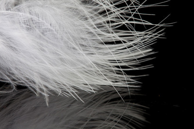 A.Jensen 53221   Marabou Feather (,  1)