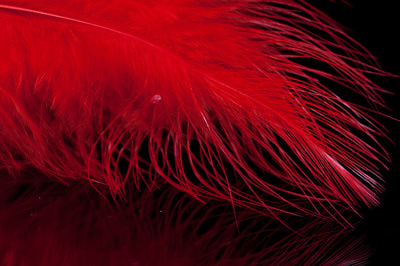 A.Jensen 53221   Marabou Feather (,  2)