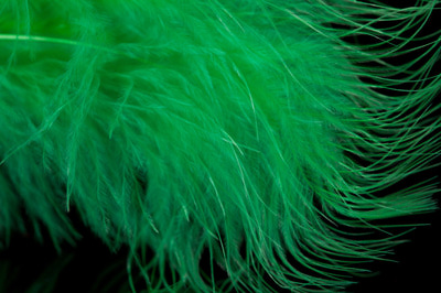 A.Jensen 53221   Marabou Feather (,  4)