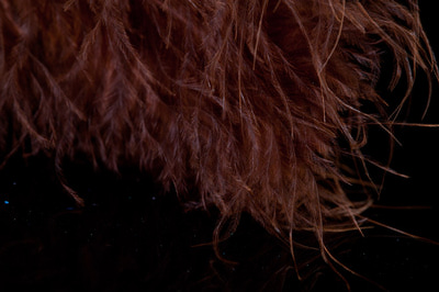 A.Jensen 53221   Marabou Feather (,  6)