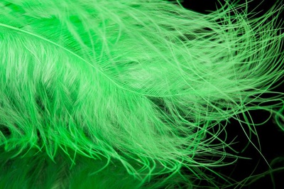 A.Jensen 53221   Marabou Feather (,  7)