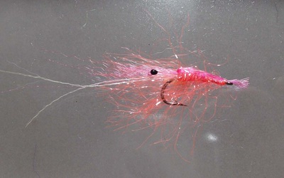 A.Jensen 55060  Polar Chenille (,  8)