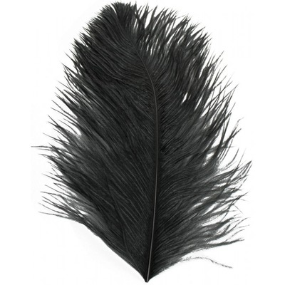 Spirit River 53068   Big Bird Ostrich Plumes (,  1)