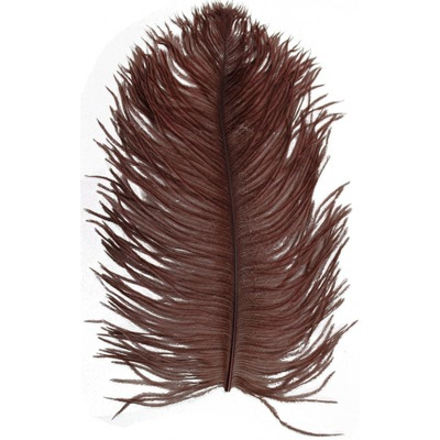 Spirit River 53068   Big Bird Ostrich Plumes (,  2)