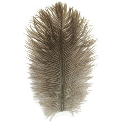 Spirit River 53068   Big Bird Ostrich Plumes (,  6)