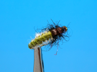 Artflies 14392    Vinyl Back Caddis Larva Olive (,  1)