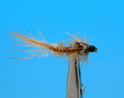 Artflies 14396    Realistic Extended Body Swimming Nymph Brown (,  1)