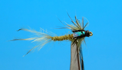 Artflies 14399    Realistic Extended Body Swimming Nymph Flashback Olive (,  1)