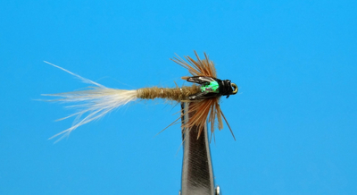 Artflies 14400    Realistic Extended Body Swimming Nymph Flashback Brown (,  1)