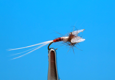 Artflies 11201   Burnt Wing Spinner Blue Quill (,  1)