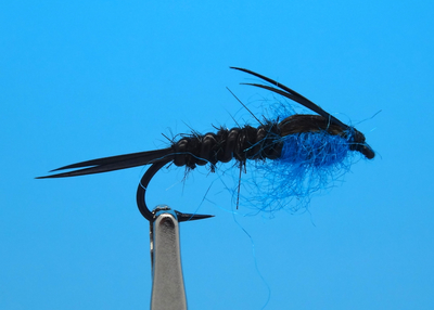 Pacific Fly Group 14412   Winter Stone Black (,  1)