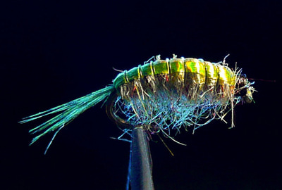 Spirit River 57071   UV2 Scud/Shrimp Dubbing (,  3)