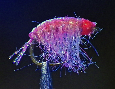 Spirit River 57071   UV2 Scud/Shrimp Dubbing (,  4)