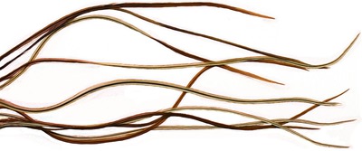 Spirit River 53245   UV2 WHITING Hackle (,  1)