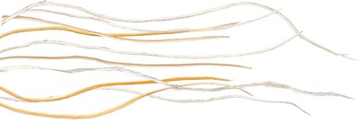 Spirit River 53245   UV2 WHITING Hackle (,  4)