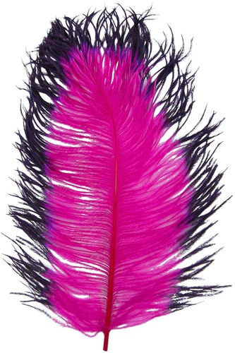 Spirit River 53253   Tip Dyed Ostrich (,  4)