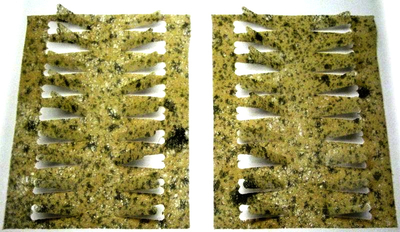 Spirit River 58208    Pre-Cut Stonefly/Caddis Wings (,  1)