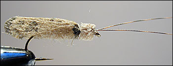 Spirit River 58208    Pre-Cut Stonefly/Caddis Wings (,  2)