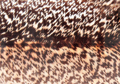 Spirit River 56045    Nymph Skin Mottled (,  1)