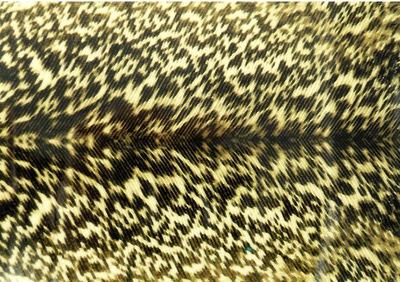 Spirit River 56045    Nymph Skin Mottled (,  2)