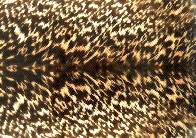 Spirit River 56045    Nymph Skin Mottled (,  3)