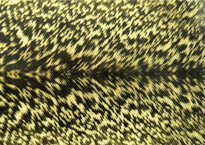 Spirit River 56045    Nymph Skin Mottled (,  5)