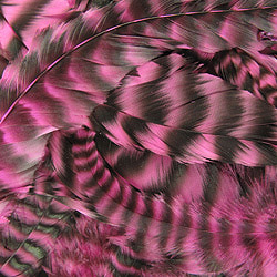 WHITING™ 53256 Крупные перья из седла петуха Schlappen (фото, вид 3)
