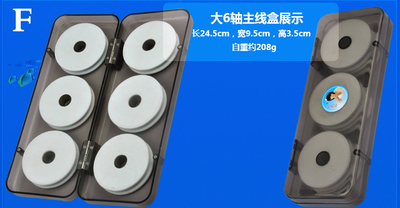 SFT-studio 81049    FER Box-6 Large (,  2)