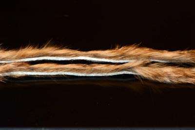 A.Jensen 52398    Rabbit Zonkers Strips (,  2)