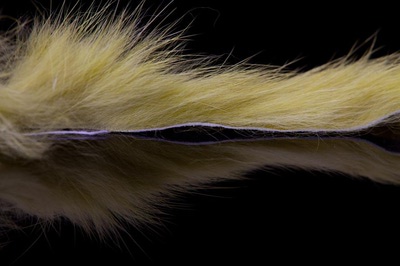 A.Jensen 52398    Rabbit Zonkers Strips (,  9)