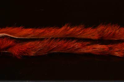 A.Jensen 52398    Rabbit Zonkers Strips (,  10)