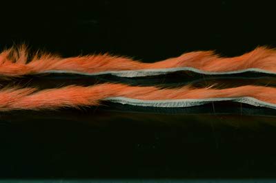 A.Jensen 52398    Rabbit Zonkers Strips (,  12)