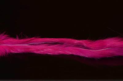 A.Jensen 52398    Rabbit Zonkers Strips (,  15)
