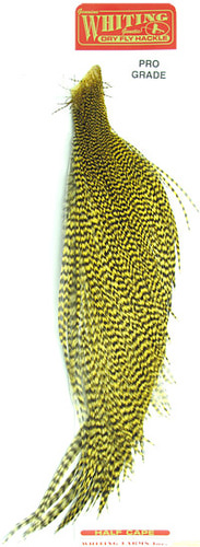 WHITING 53263    1/2 Rooster Dry Fly Cape PROGRADE (,  5)