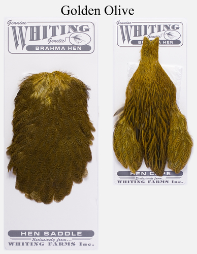 WHITING 53274   Brahma Hen Cape and Saddle Set (,  2)