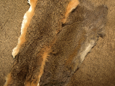 Nature's Spirit 52416   Squirrel Skin (,  1)