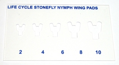 WAPSI 41161    Life Cycle Wing Stencils Set (,  4)