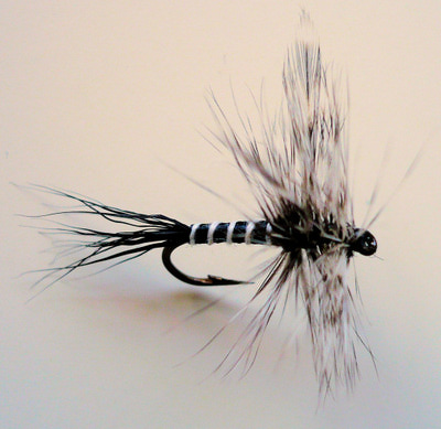 Crystal River 11227   Mosquito (,  1)