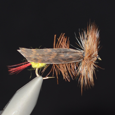 Crystal River 11232   Joe's Hopper (,  1)