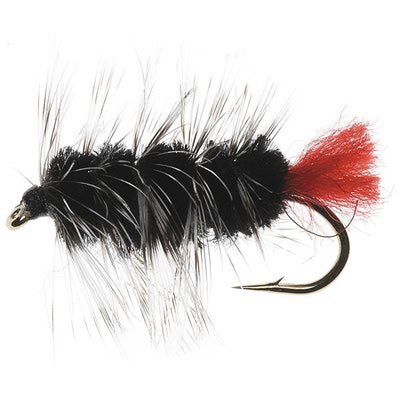 Crystal River 14433   Wooly Worm Black (,  1)