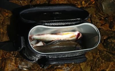 HIGASHI 82085 -    Travel Fishing Box (,  3)