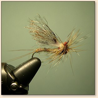Daiichi 60377   1230 Paul Weamers Mayfly Hook (,  3)