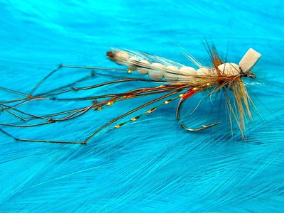SFT-studio 53302    Ringneck Pheasant Center Tail Pairs (,  1)