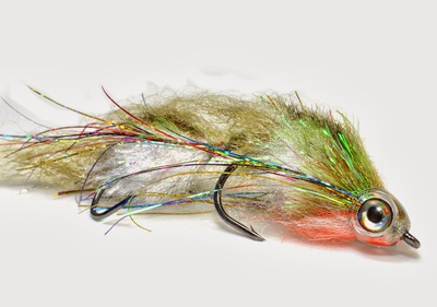 Fish Skull 58084    FISH MASK (,  5)