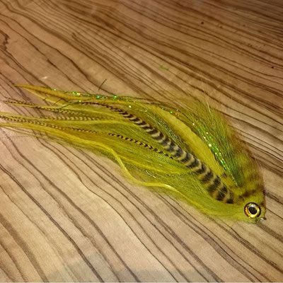 Partridge of Redditch 60430   Universal Predator X (,  2)